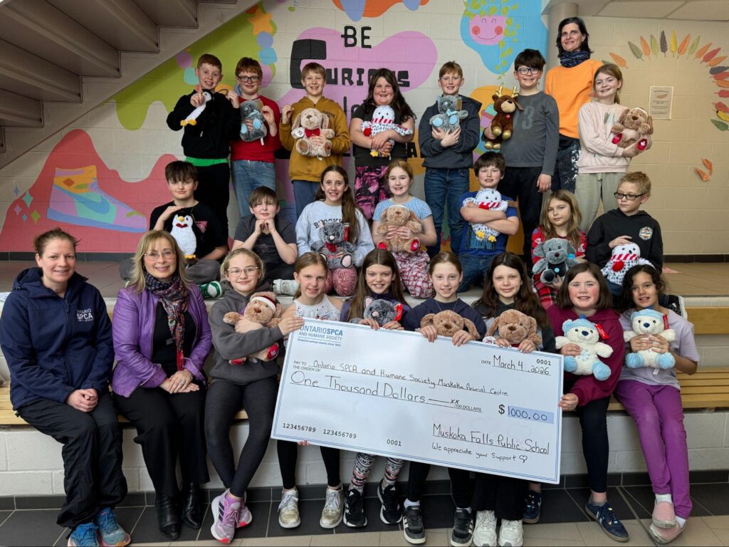 MFPS Cupcake Fundraiser 2026